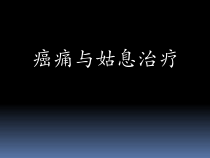 癌痛和姑息治疗课件