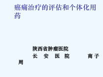 癌痛治疗的评估和个体化课件