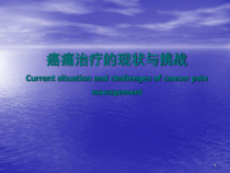 癌痛治疗的现状和挑战-教学课件