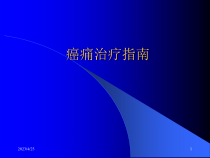 癌痛治疗指南课件