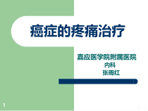 癌症的疼痛治疗课件