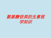氨基糖苷类抗生素医学知识培训课件