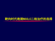 靶向时代晚期NSCLC二线治疗的选择-课件
