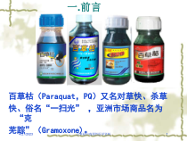百草枯中毒课件医学培训课件