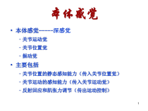 本体感觉的评估与训练进展医学课件
