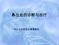 鼻出血的诊断与治疗课件