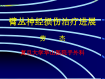 臂丛神经损伤治疗进展劳杰课件