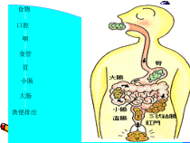 便秘医学宣教课件