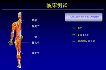 表面肌电临床应用课件