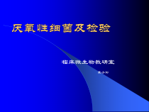 病原性真菌检验临床微生物学课件