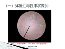 病理实验切片医学培训课件