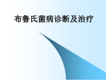 布鲁氏菌病治疗进展-课件