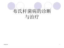 布氏杆菌病的诊断与治疗参考课件
