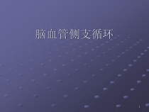 侧支循环医学课件