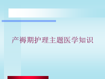 产褥期护理主题医学知识培训课件