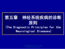 常见疾病病因与治疗方法第5章神经系统疾病的诊断原则课件