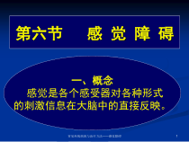 常见疾病病因与治疗方法感觉障碍课件