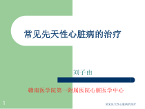 常见先天性心脏病的治疗课件