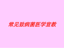 常见致病菌医学宣教培训课件