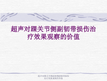 超声对踝关节侧副韧侧副韧带损伤治疗效果观察的价值课件