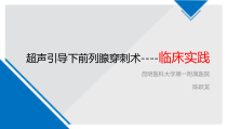 超声引导下前列腺穿刺临床实践课件