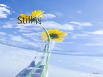 成人still病护理和治疗课件