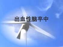 出血性脑卒中医学课件