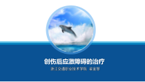 创伤后应激障碍PTSD的治疗解析课件