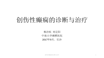创伤性癫痫的诊断与治疗课件