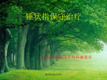 锤状指的保守治疗课件