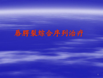唇腭裂综合序列治疗参考课件