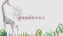 唇裂健康医学知识培训课件