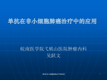 单抗在非小细胞肺癌治疗中的应用课件