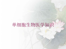 单细胞生物医学知识培训课件
