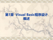 VisualBasic程序设计概述课件