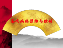 蛋鸡疾病预防和控制医学课件