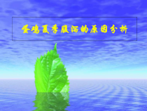 蛋鸡夏季腹泻的原因分析医学课件