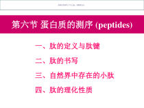 蛋白质-医学知识课件