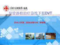 导管溶栓治疗急性下肢DVT课件