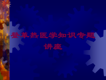 登革热医学知识专题讲座培训课件