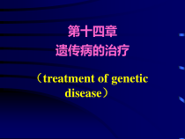 第14章遗传病的治疗课件