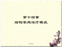 第九章-结构家庭治疗模式课件