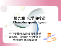 第九章化学治疗药课件