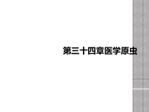 第三十四章医学原虫课件