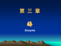 第三章酶级临床医学课件