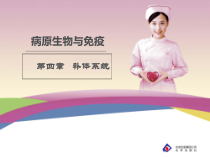 第三十章-医学蠕虫课件