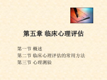 第五章-临床心理评估课件