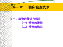第一章临床检查技术课件