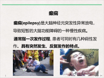癫痫的发病机制与治疗实用版课件