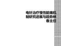电针治疗慢性脏痛机制研究进展与趋势课件